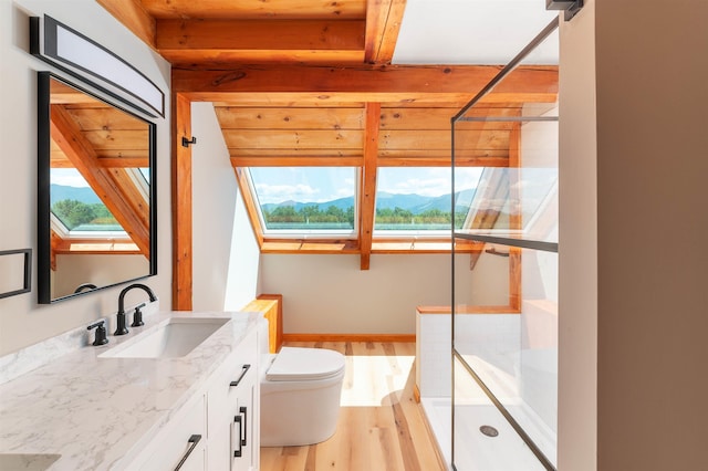 bathroom with hardwood / wood-style flooring, a skylight, a mountain view, a shower with shower door, and toilet