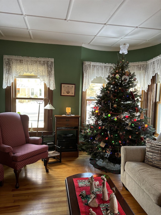 living room featuring hardwood / wood-style floors