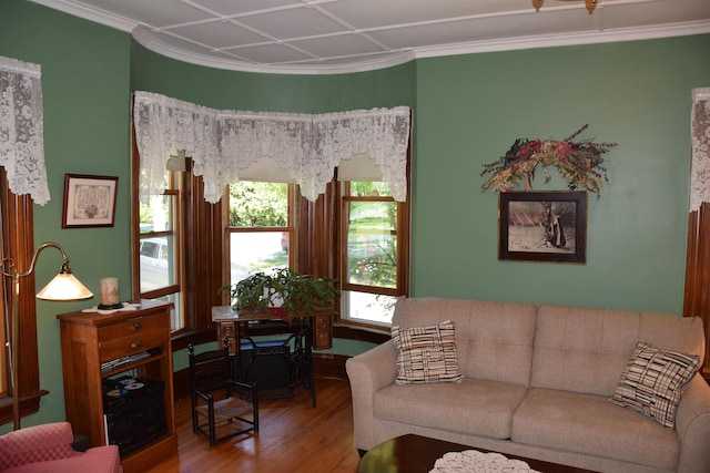 living room with crown molding and wood-type flooring