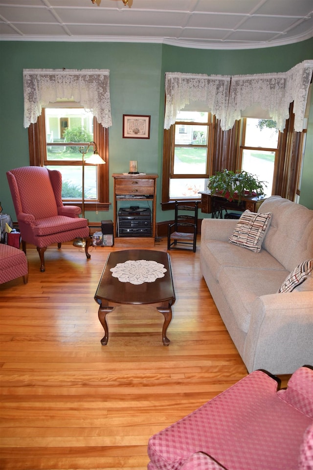 living room featuring light wood-type flooring