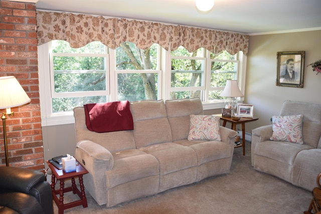 carpeted living room featuring ornamental molding