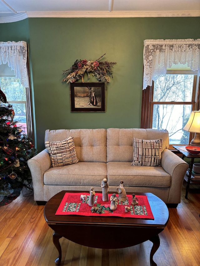 living room with crown molding and hardwood / wood-style flooring