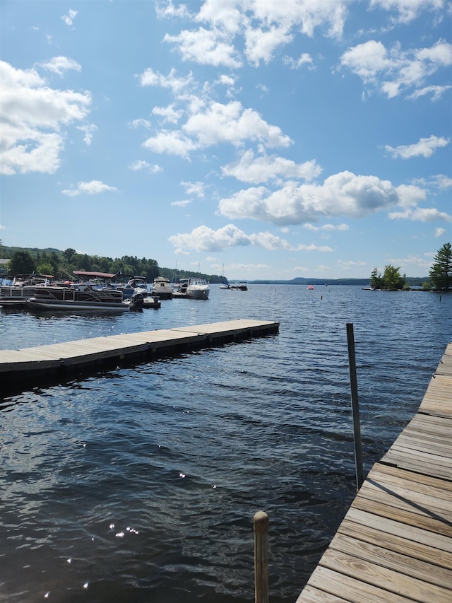 view of dock with a water view