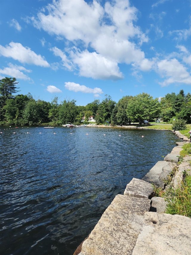 property view of water