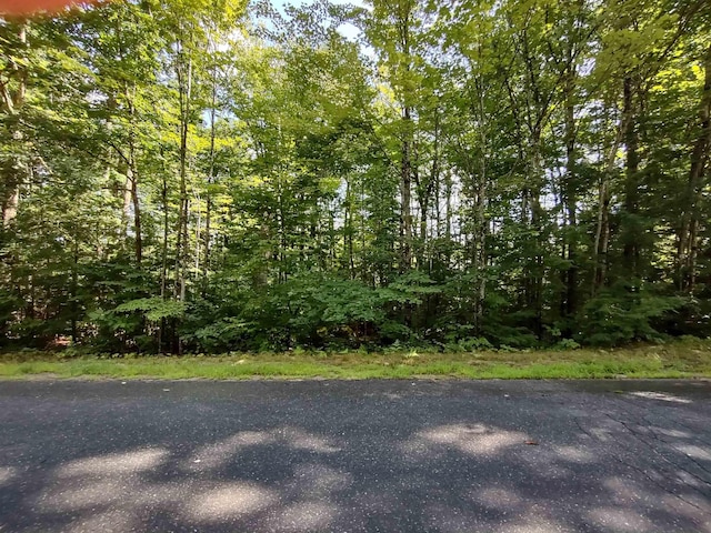 Listing photo 3 for Sundorf St, Moultonborough NH 03254