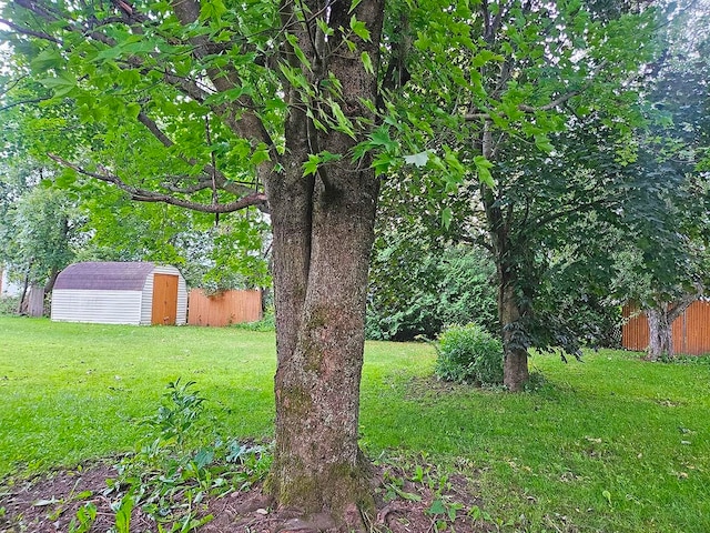 view of yard with a shed