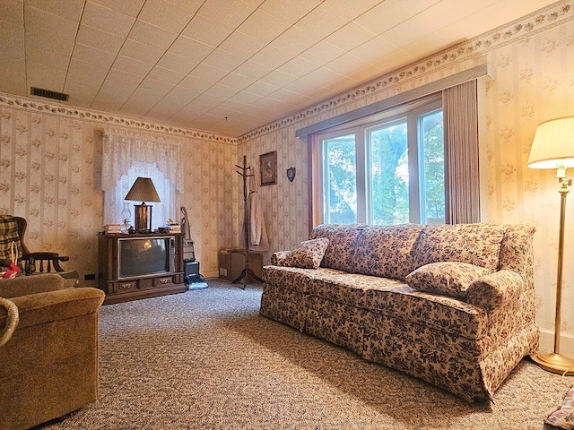 living room featuring carpet floors