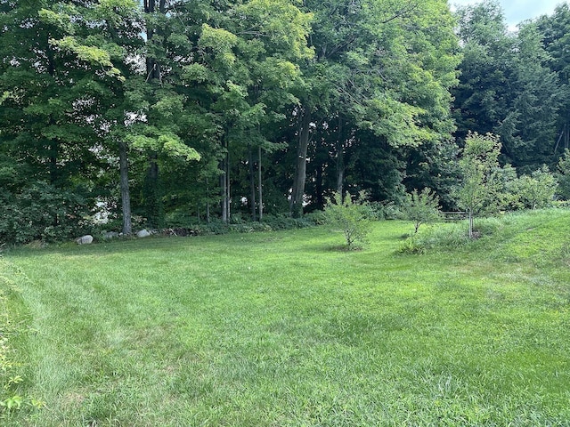 10 Hawthorne St, Plymouth, NH 03264 - view of grassy yard featuring a view of trees