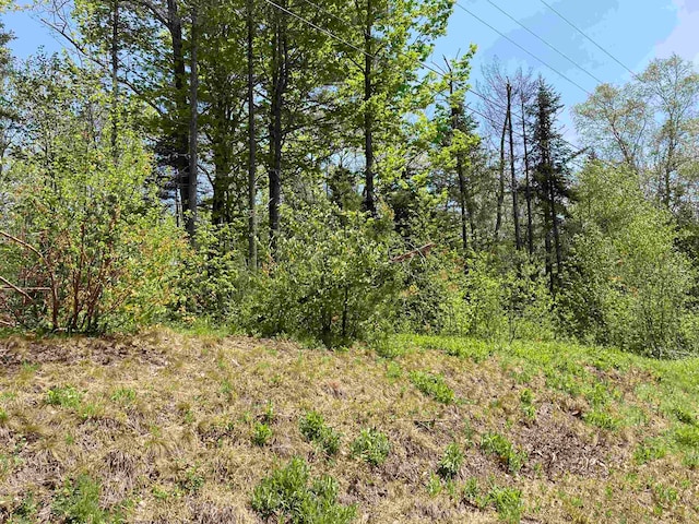 Listing photo 2 for LOT5 Nh Route 4a, Grafton NH 03240