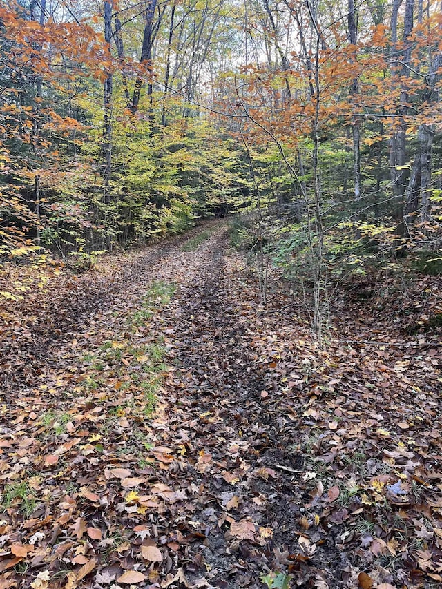 LOT Eaton Grange Rd, Sutton, NH 03221