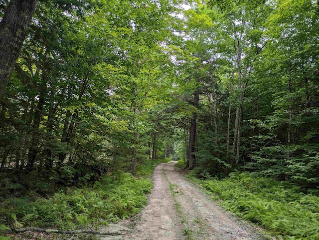 LOT Eaton Grange Rd, Sutton, NH 03221