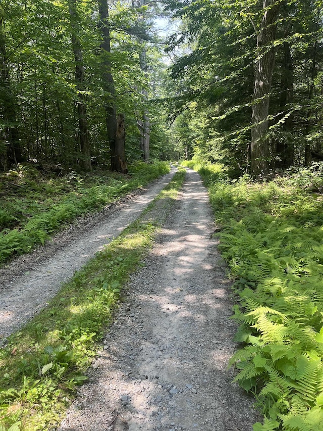 LOT Eaton Grange Rd, Sutton, NH 03221