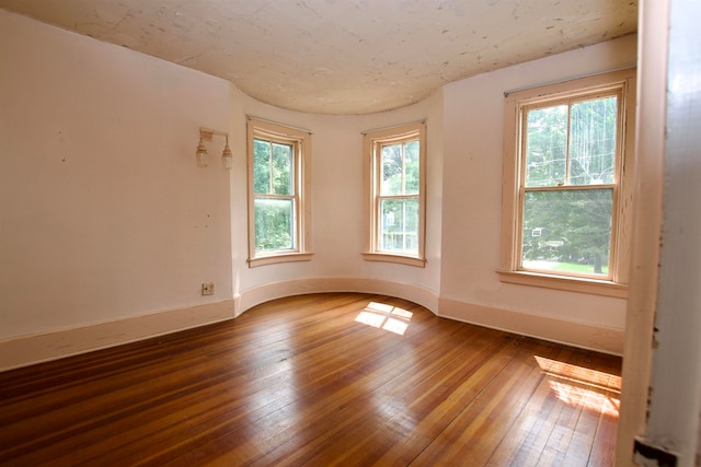 spare room featuring a wealth of natural light and hardwood / wood-style floors