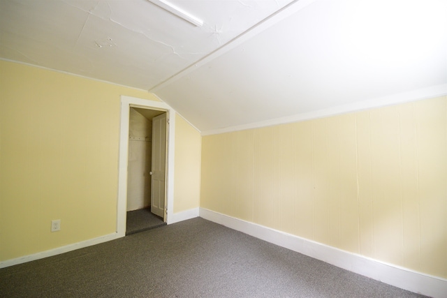 additional living space with carpet flooring and lofted ceiling