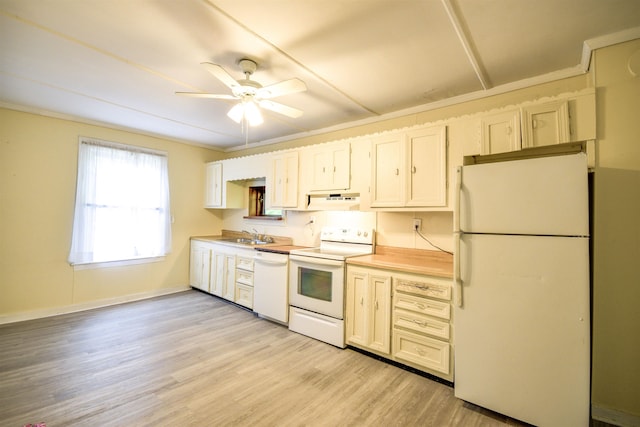 kitchen featuring ornamental molding, sink, light wood-type flooring, white appliances, and ceiling fan