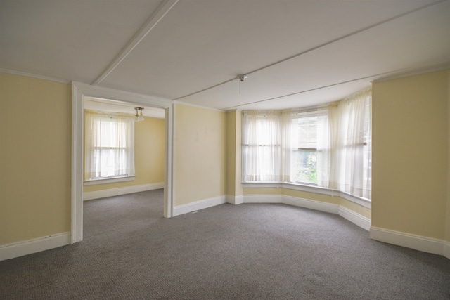 unfurnished room with carpet flooring