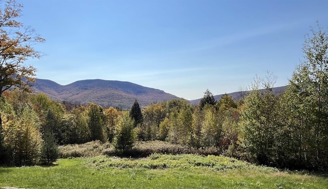 property view of mountains