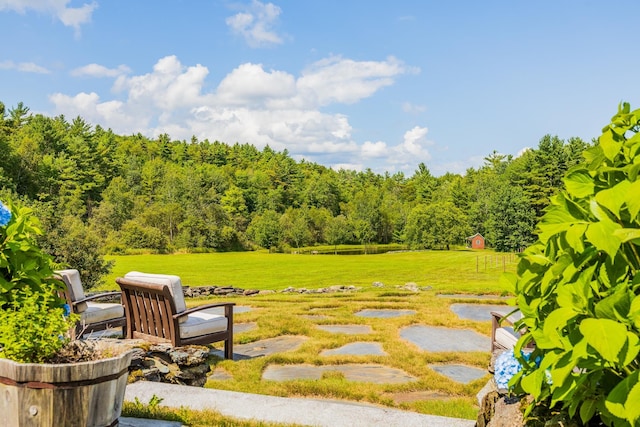 view of yard featuring a forest view