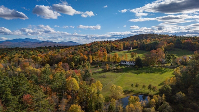 mountain view featuring a forest view and a water view
