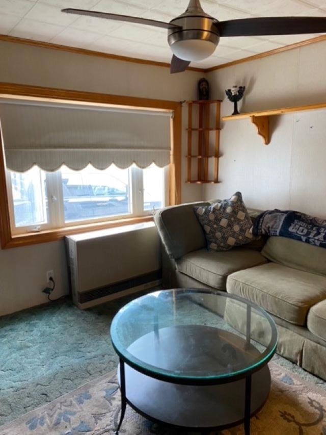 carpeted living room with ceiling fan and crown molding