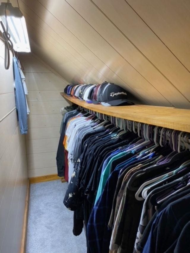 spacious closet with lofted ceiling