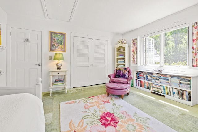 bedroom featuring attic access, a closet, and carpet flooring