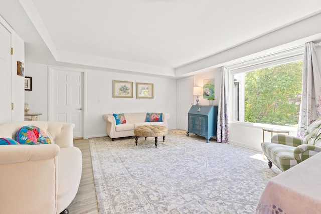 living area with baseboards and a raised ceiling