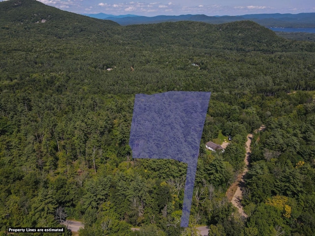 Ossipee Mountain Rd, Ossipee NH, 03814 land for sale