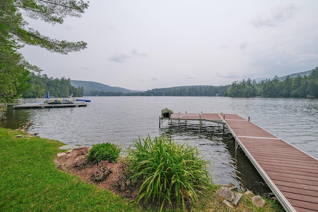 dock area with a water and mountain view