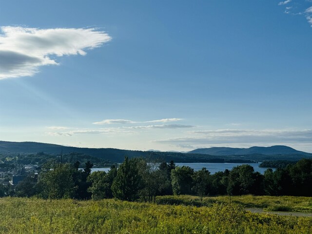 0 Pepin Dr, Newport City VT, 05855 land for sale