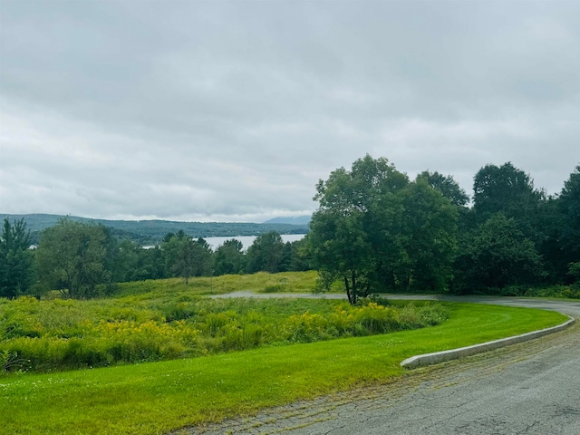 Listing photo 3 for 0 Pepin Dr, Newport City VT 05855