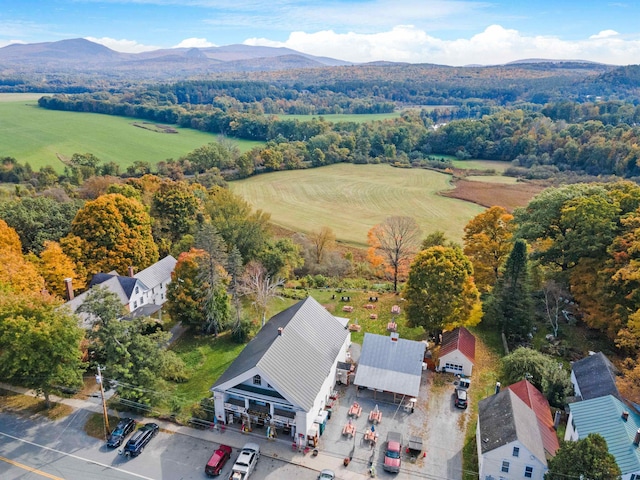 birds eye view of property featuring a mountain view