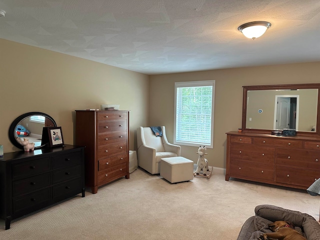 sitting room featuring a textured ceiling and light carpet