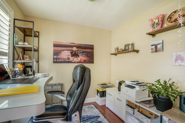 office featuring wood-type flooring