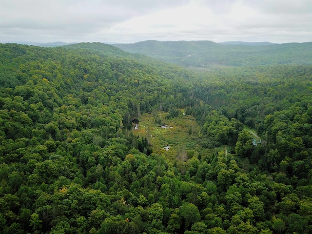 Listing photo 3 for 1340 Beaver Brook Rd, Corinth VT 05039