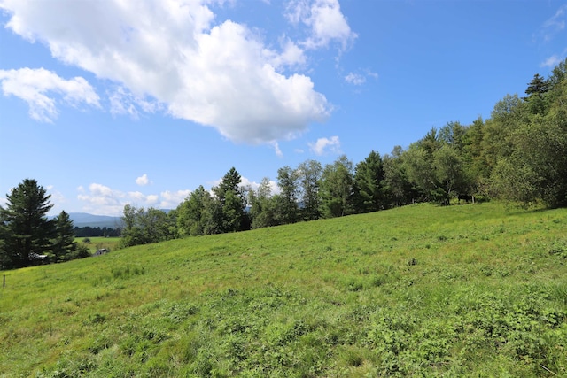 view of landscape with a rural view