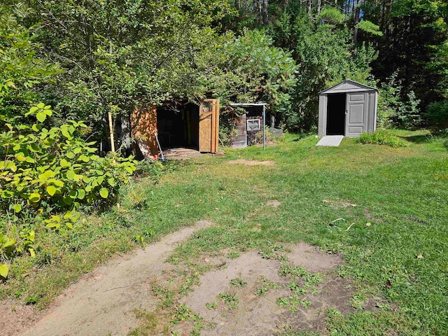 view of yard featuring a storage shed