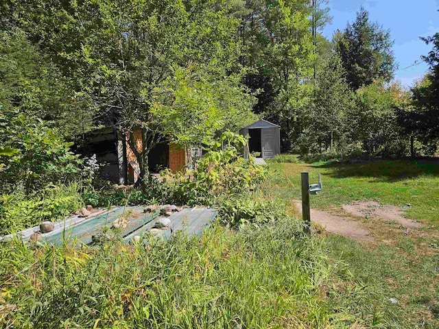 view of yard featuring a storage unit