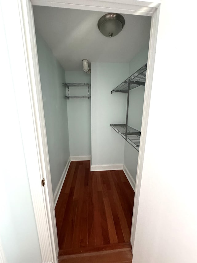 spacious closet featuring hardwood / wood-style floors