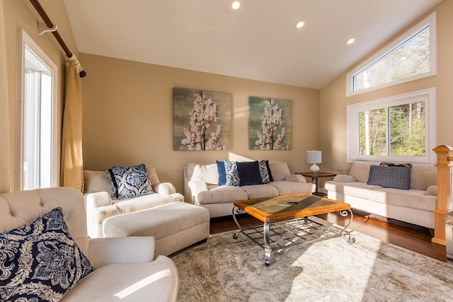 living room with vaulted ceiling and wood-type flooring