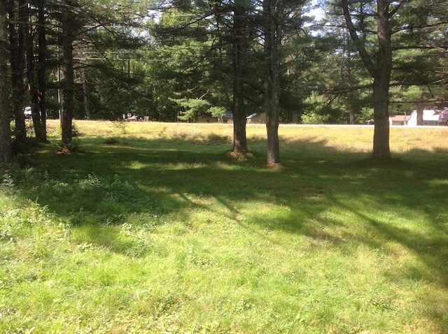 Listing photo 3 for 2090 Rte 16, Ossipee NH 03814