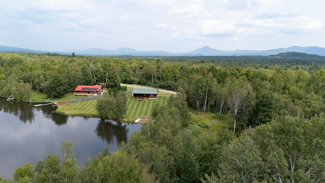 bird's eye view featuring a water and mountain view