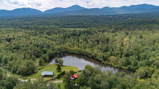 birds eye view of property featuring a water and mountain view