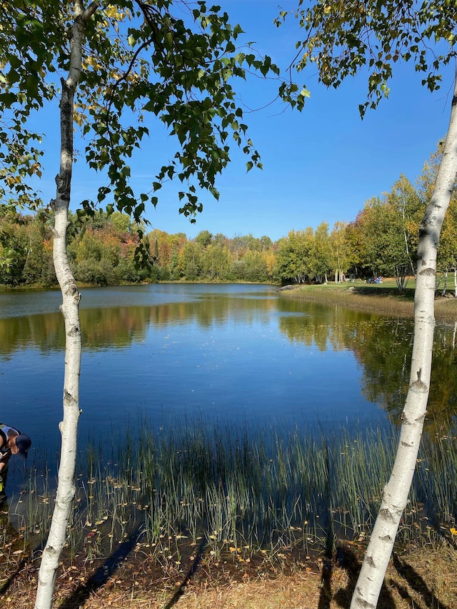 property view of water