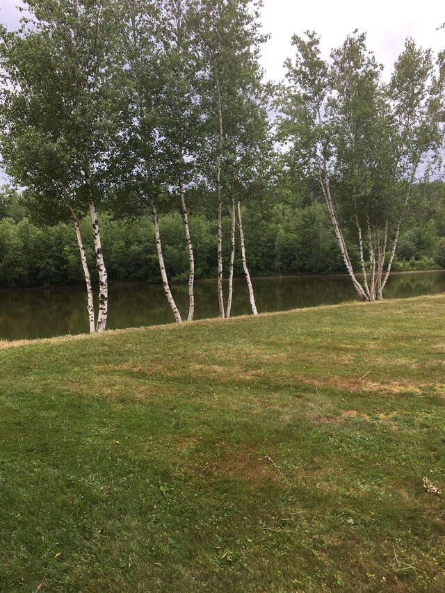 view of yard featuring a water view