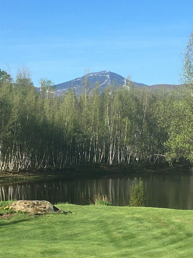 property view of water with a mountain view