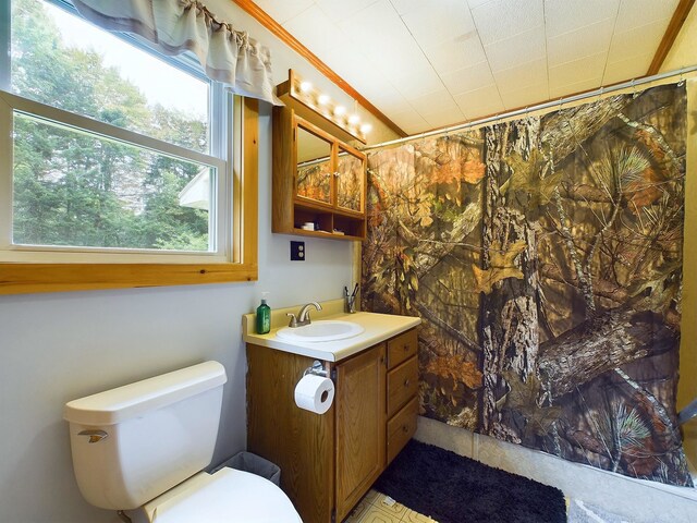 bathroom with toilet, a shower with shower curtain, and vanity