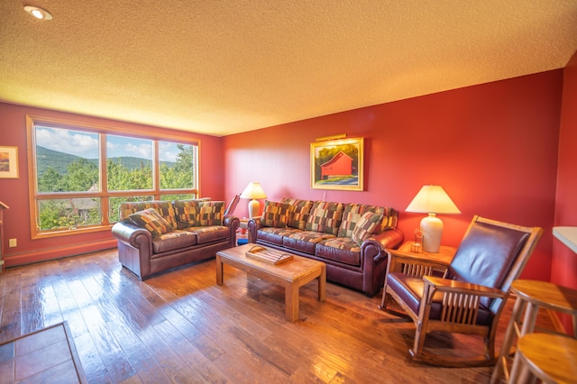 living room featuring a mountain view, a textured ceiling, and wood-type flooring