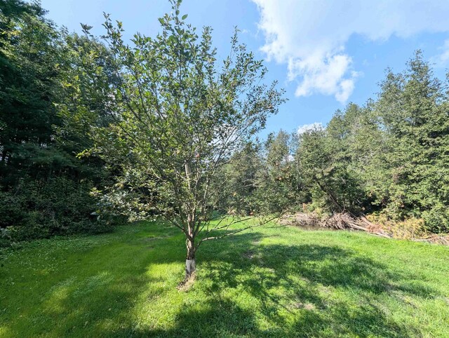 2454 W Barnet Rd, Barnet, VT 05821 - view of grassy yard