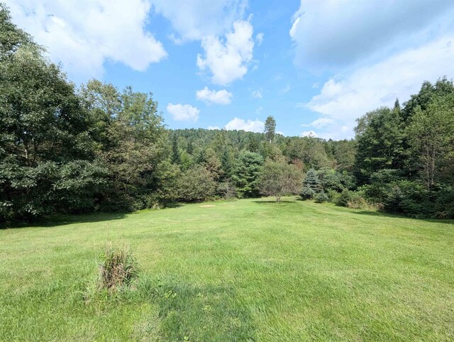 2454 W Barnet Rd, Barnet, VT 05821 - view of green lawn featuring a wooded view